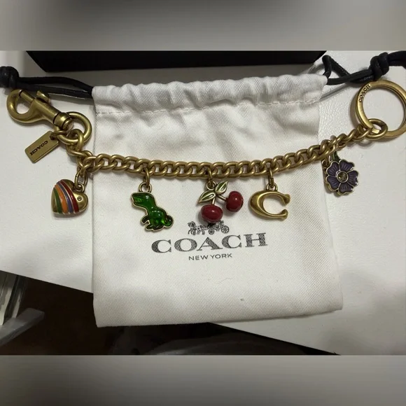 Coach MotifChain Bag Charm - Picture 1 of 4